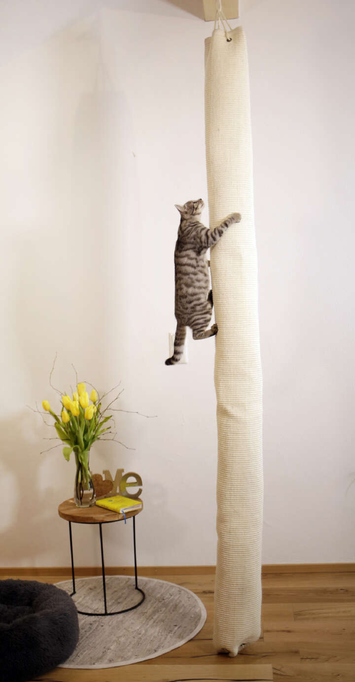 KERBL Klettersack Climber für Katzen